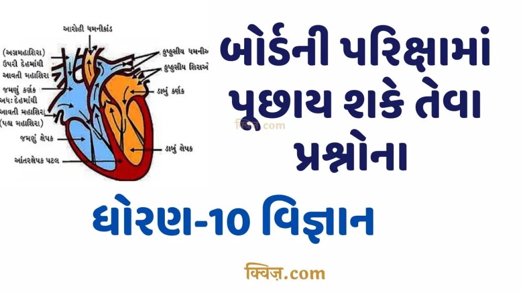 ધોરણ-10 વિજ્ઞાન નવનીત(ગાઇડ) પ્રકરણ-6 જૈવિક ક્રિયાઓ સ્વાધ્યાય